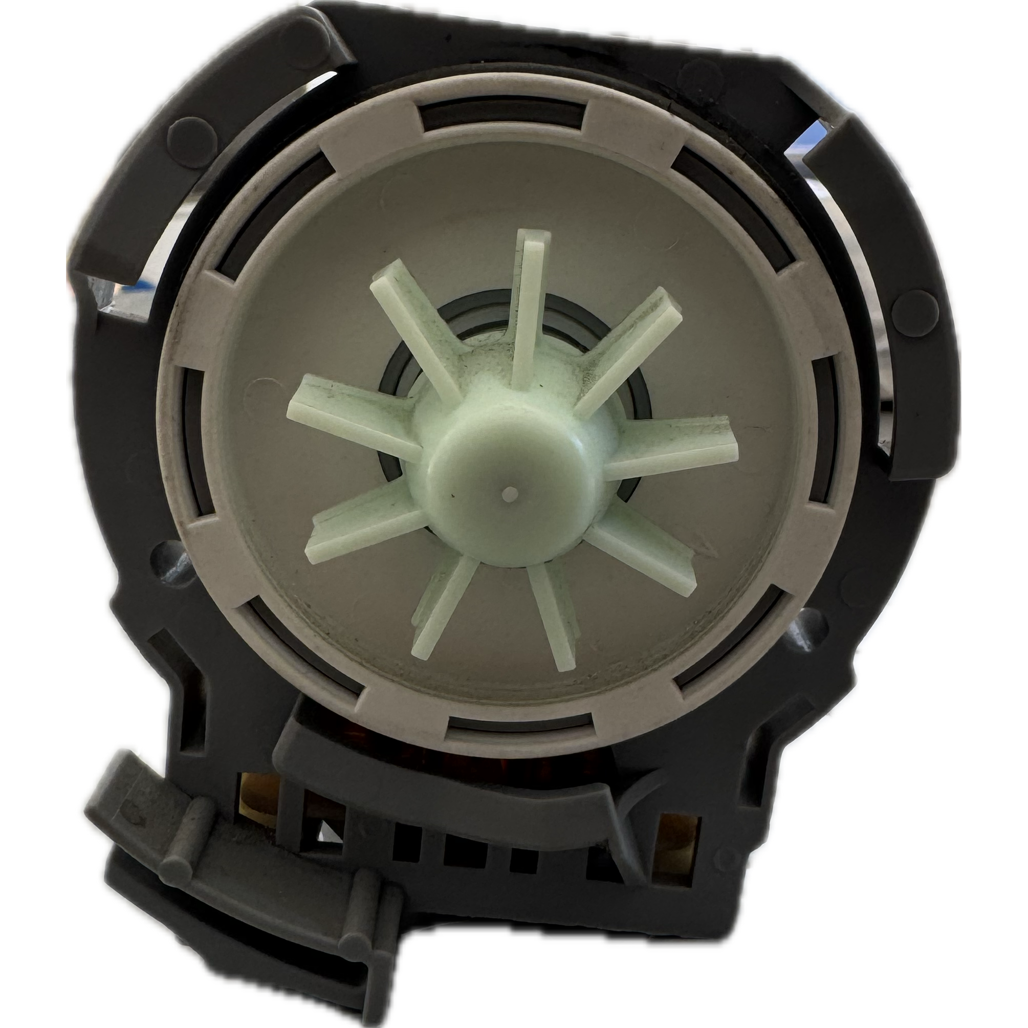 Pompa Di Scarico Plaset Lavatrice  71953   481236018558 Ignis